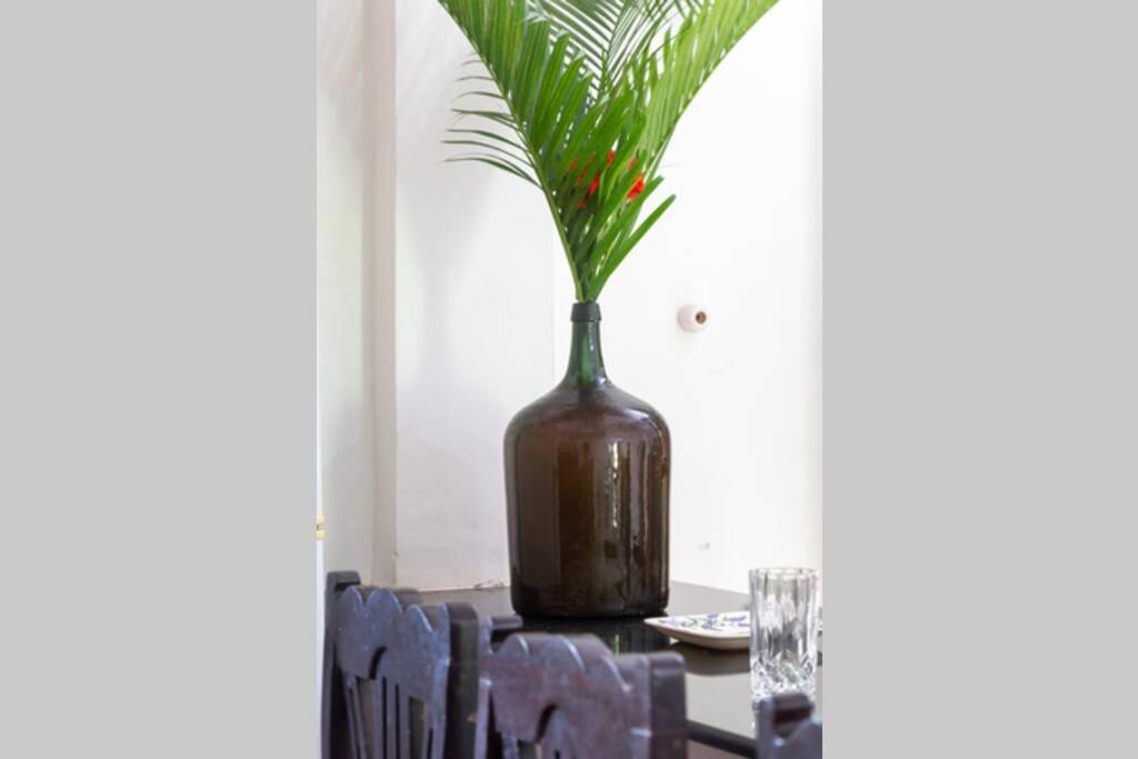 Villa Barbosa, 2 Bhk Villa & Luxury Rooms Near Colva, Sernabatim, Benaulim Beach Екстериор снимка